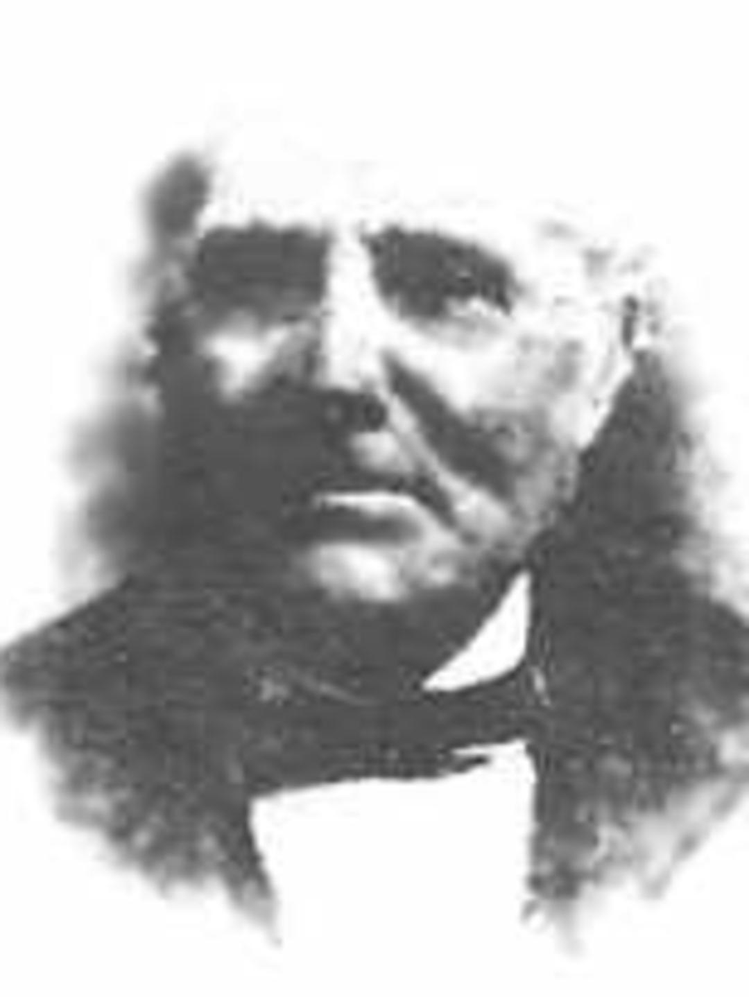 Charles James Bull (1842 - 1878) Profile